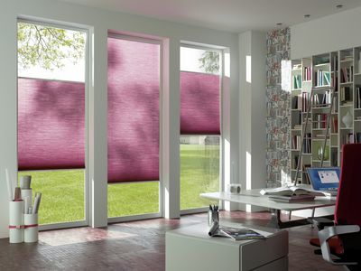 Sistemas de plisadas, SG 8500, DUETTE® Fixé Elan, Col 20023, BB24
