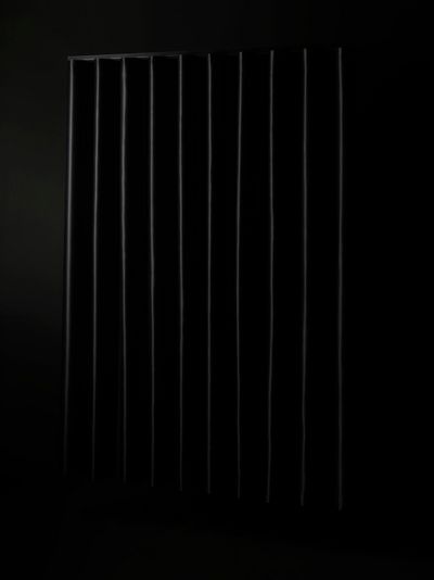 Sistemas de rieles, SG 6870, Oscurante, Black