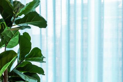 Sistemas de rieles, SG 5600, Colorama 1, Virgin Money, Glasgow, Scotland, United Kingdom